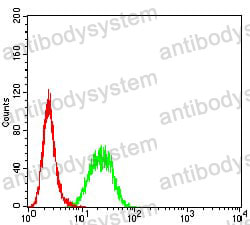 Anti-BCL2L10 Antibody (R4B61)