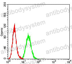 Anti-BCL2L10 Antibody (R4B62)