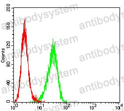 Anti-BTRC Antibody (R4B66)