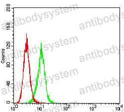 Anti-BCL9L Antibody (R4B70)