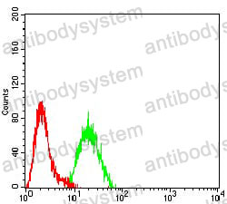 Anti-KMT2C Antibody (R4B74)