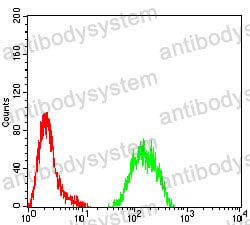 Anti-KMT2C Antibody (R4B75)