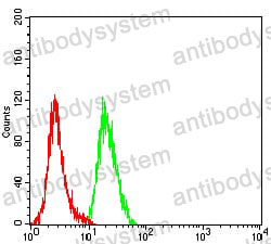 Anti-ULBP2 Antibody (R4B78)