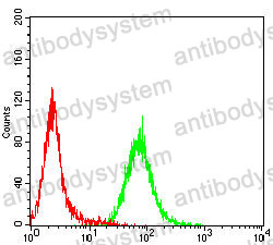 Anti-C5AR2 Antibody (R4B85)