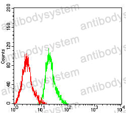 Anti-C5AR2 Antibody (R4B86)