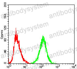 Anti-ADGRG1 Antibody (R4B87)