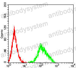 Anti-MUC12 Antibody (R4B88)