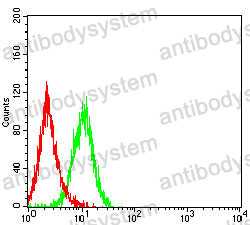 Anti-MUC12 Antibody (R4B89)