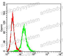 Anti-TSPAN16 Antibody (R4B90)