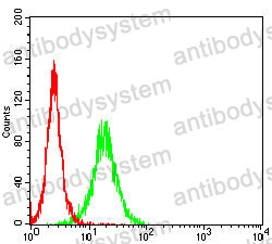 Anti-TSPAN16 Antibody (R4B91)