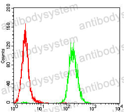 Anti-GPR83 Antibody (R4B92)