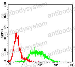 Anti-GPR83 Antibody (R4B93)