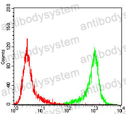 Anti-TRIB2 Antibody (R4B95)