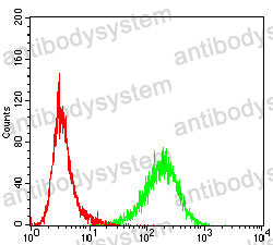 Anti-TRIB2 Antibody (R4B96)
