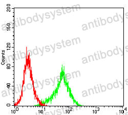 Anti-UPK3B Antibody (R4C01)