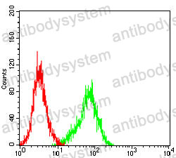 Anti-UPK3B Antibody (R4B99)