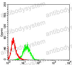 Anti-TREML2 Antibody (R4C05)