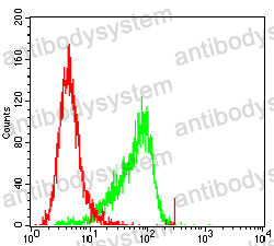 Anti-ATP6V0A4 Antibody (R4C06)
