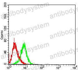 Anti-SLC45A3 Antibody (R4C17)