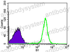 Anti-NELFA Antibody (R4C25)