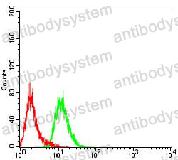 Anti-DHX58 Antibody (R4A49)