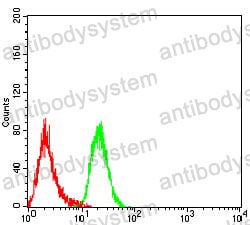 Anti-DHX58 Antibody (R4A50)