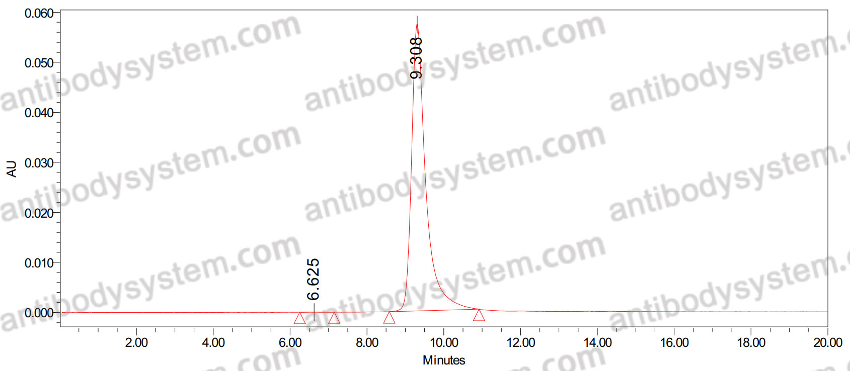 Anti-Phospho-AKT1 (pS473) Antibody (P8.H9)