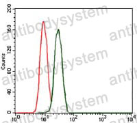 Anti-BPIFB1 Antibody (R4A97)
