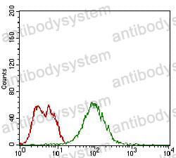 Anti-BPIFA2 Antibody (R4B03)