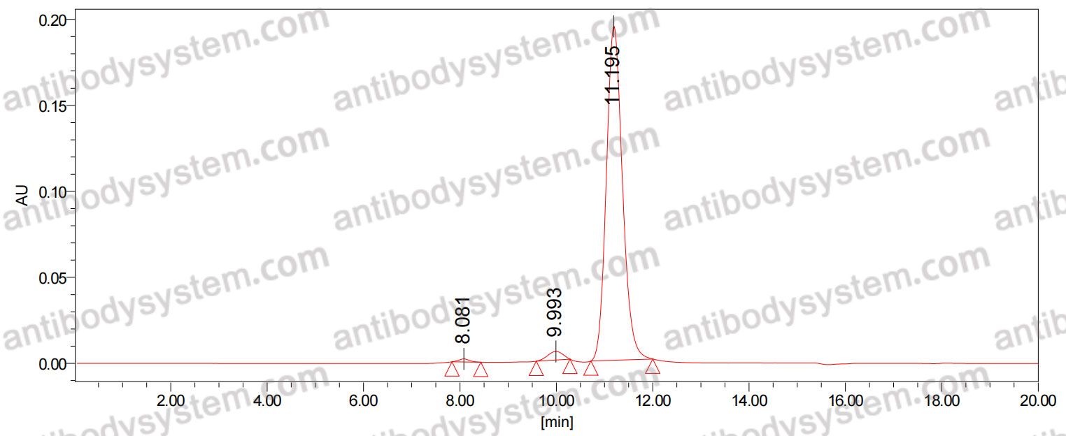 Anti-Dog IgE Antibody (E6-2A1)