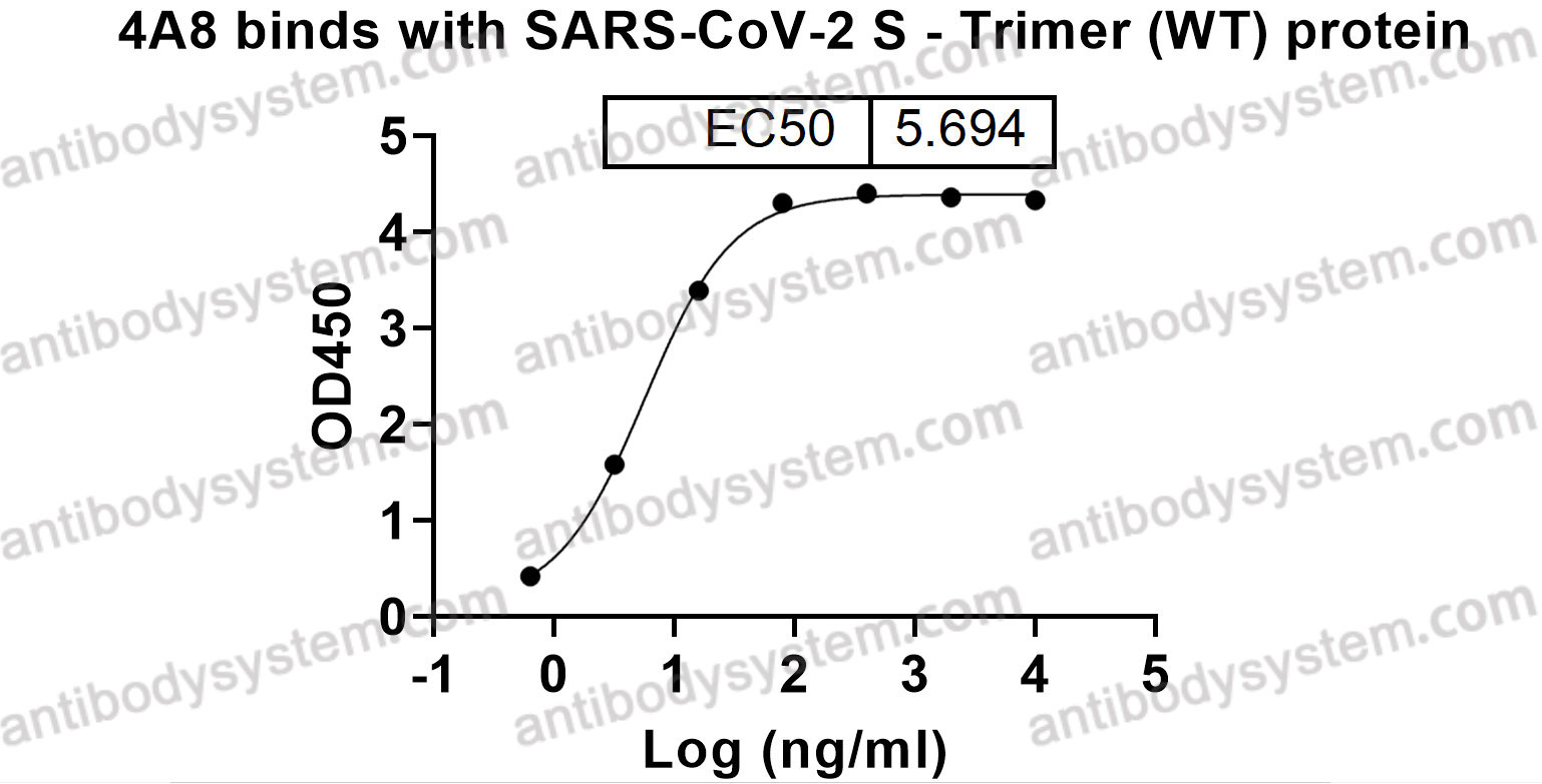 Anti-SARS-CoV-2 NTD antibody (4A8)