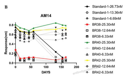 Bioactivity for Anti-HRSV F/Fusion glycoprotein F0 Antibody (Am14) ?>