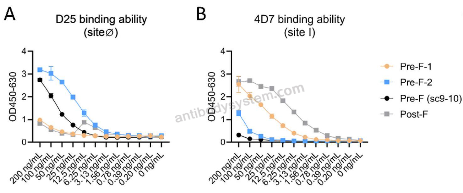 ELISA for Anti-RSV F/Fusion glycoprotein F0 Antibody (4D7) ?>