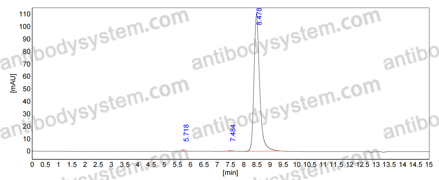 Anti-ZEBOV GP/Envelope glycoprotein Antibody (mAb100)