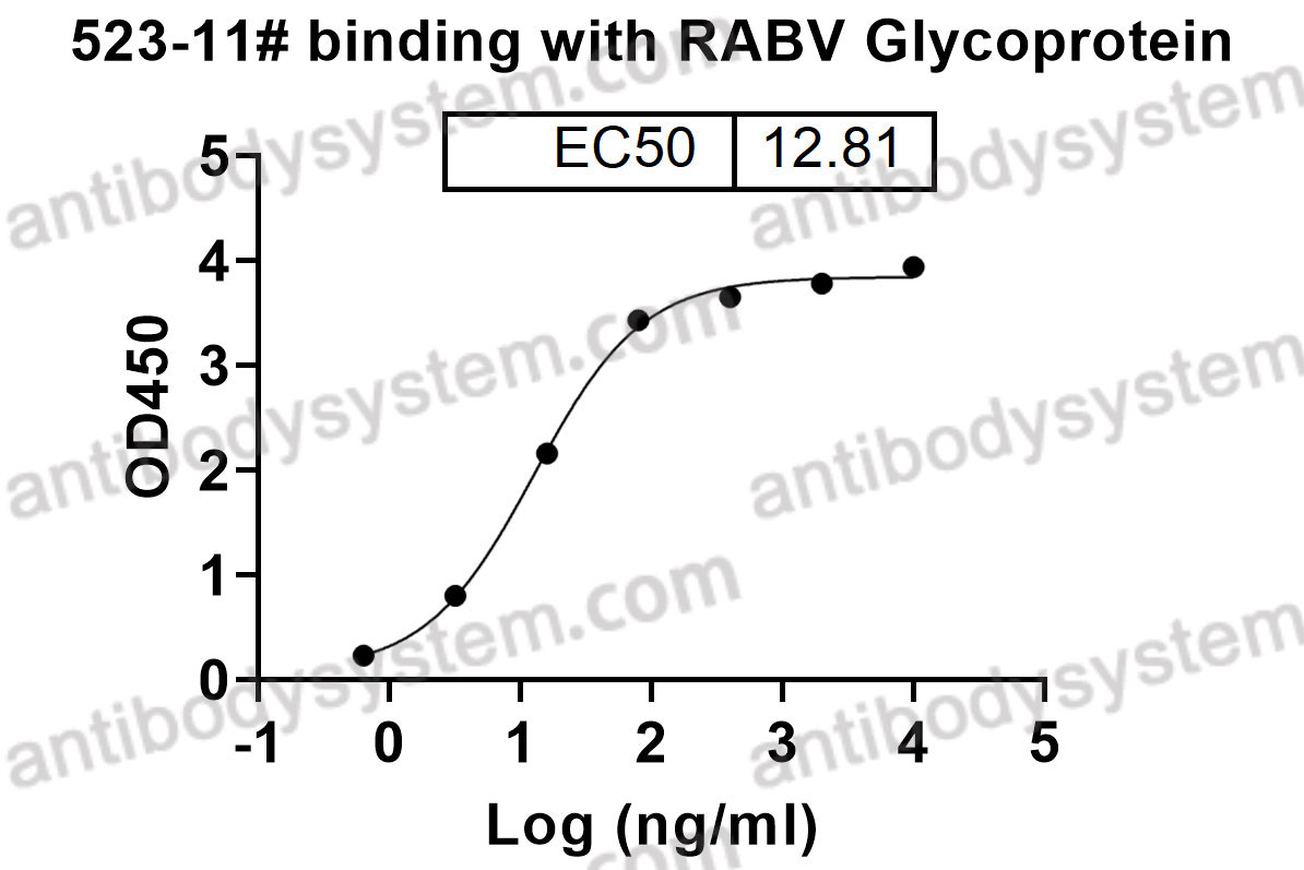 Anti-RABV G/Glycoprotein Antibody (523-11#)