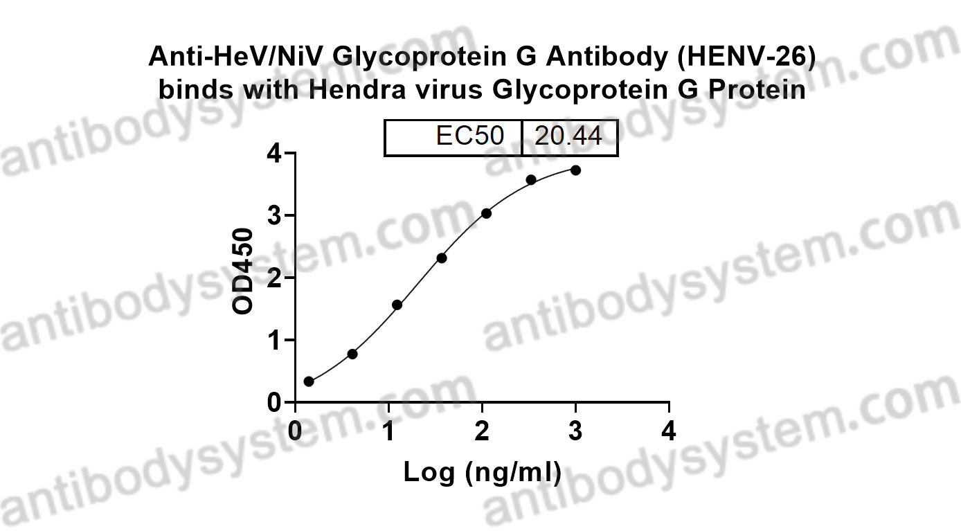 Bioactivity for Anti-HeV/NiV Glycoprotein G Antibody (HENV-26) ?>