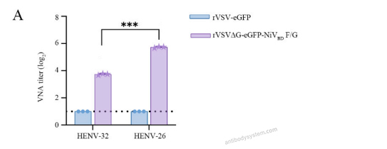 Bioactivity for Anti-HeV/NiV Glycoprotein G Antibody (HENV-32) ?>
