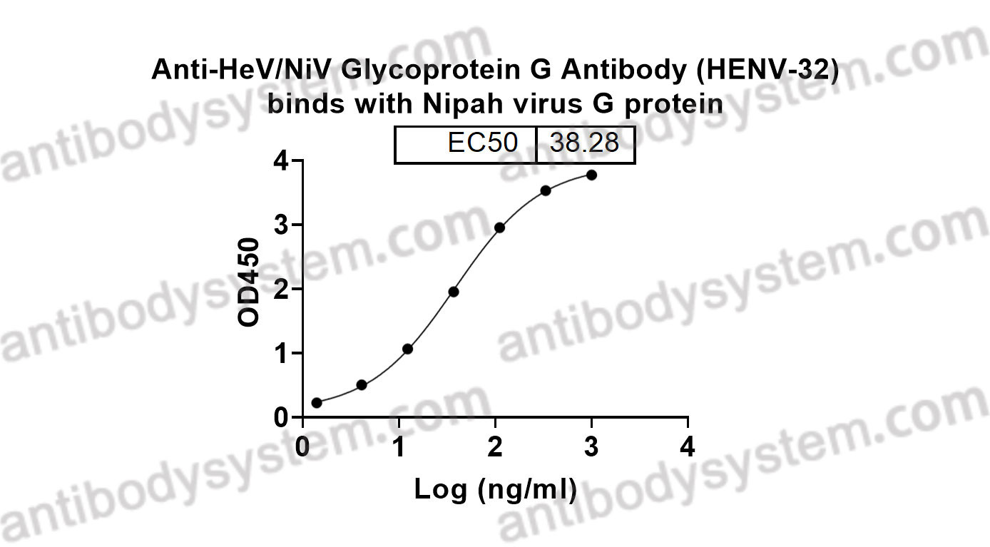 Bioactivity for Anti-HeV/NiV Glycoprotein G Antibody (HENV-32) ?>