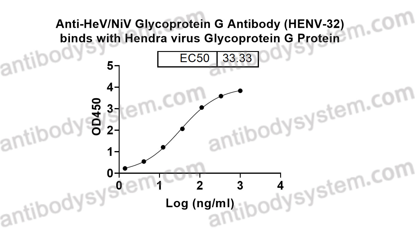 Bioactivity for Anti-HeV/NiV Glycoprotein G Antibody (HENV-32) ?>