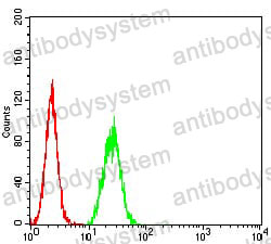 Anti-CPV2 Capsid protein VP2 Antibody (R4D72)