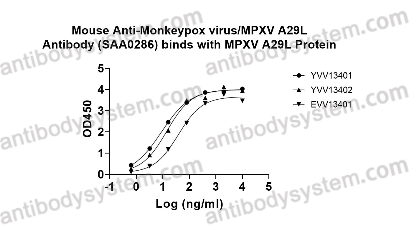 Bioactivity for Mouse Anti-Monkeypox virus/MPXV A29L Antibody (SAA0286) ?>