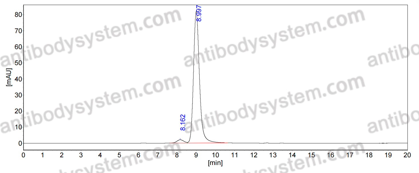 Mouse Anti-MPXV A29L Antibody (Fs0477)