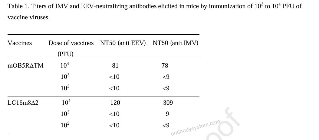 Bioactivity for Anti-Vaccinia virus(VACV) L1R/Protein L1 Antibody (M12B9) ?>