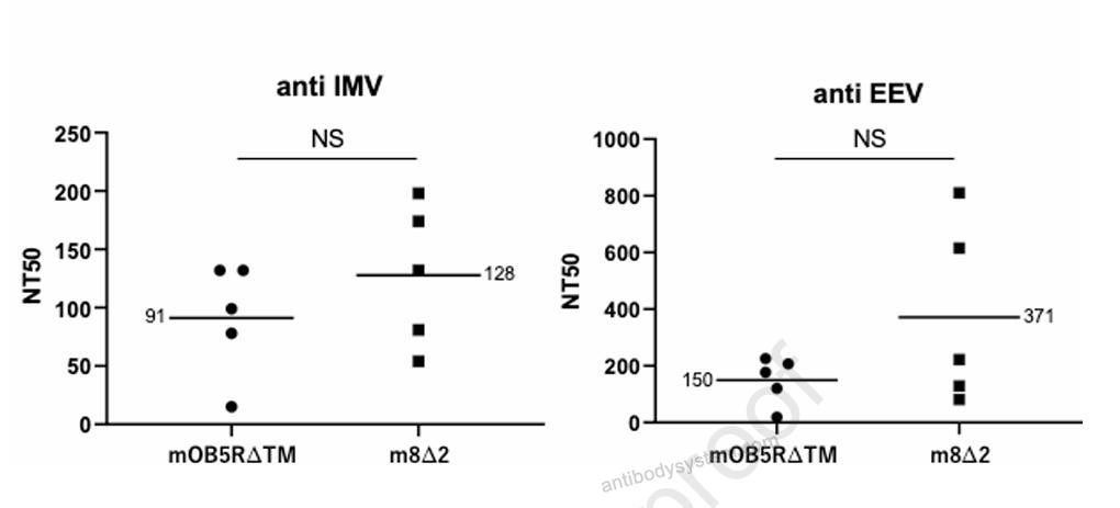 Bioactivity for Anti-Vaccinia virus(VACV) L1R/Protein L1 Antibody (M12B9) ?>