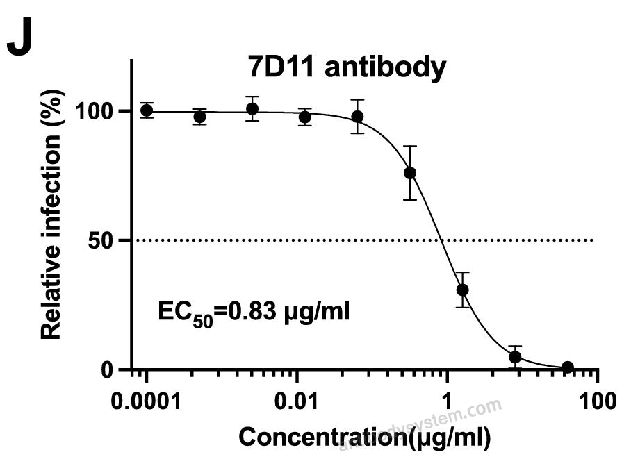 Bioactivity for Anti-Vaccinia L1R/Protein L1 Antibody (7D11) ?>