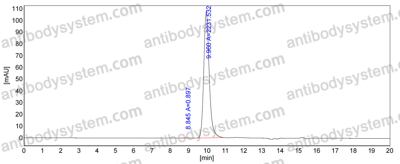 Anti-Vaccinia L1R/Protein L1 Antibody (M12B9)