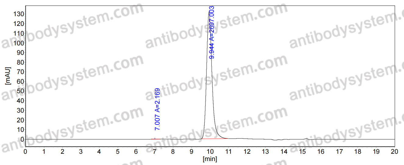 Anti-FMDV Capsid protein VP1 Antibody (4A2)