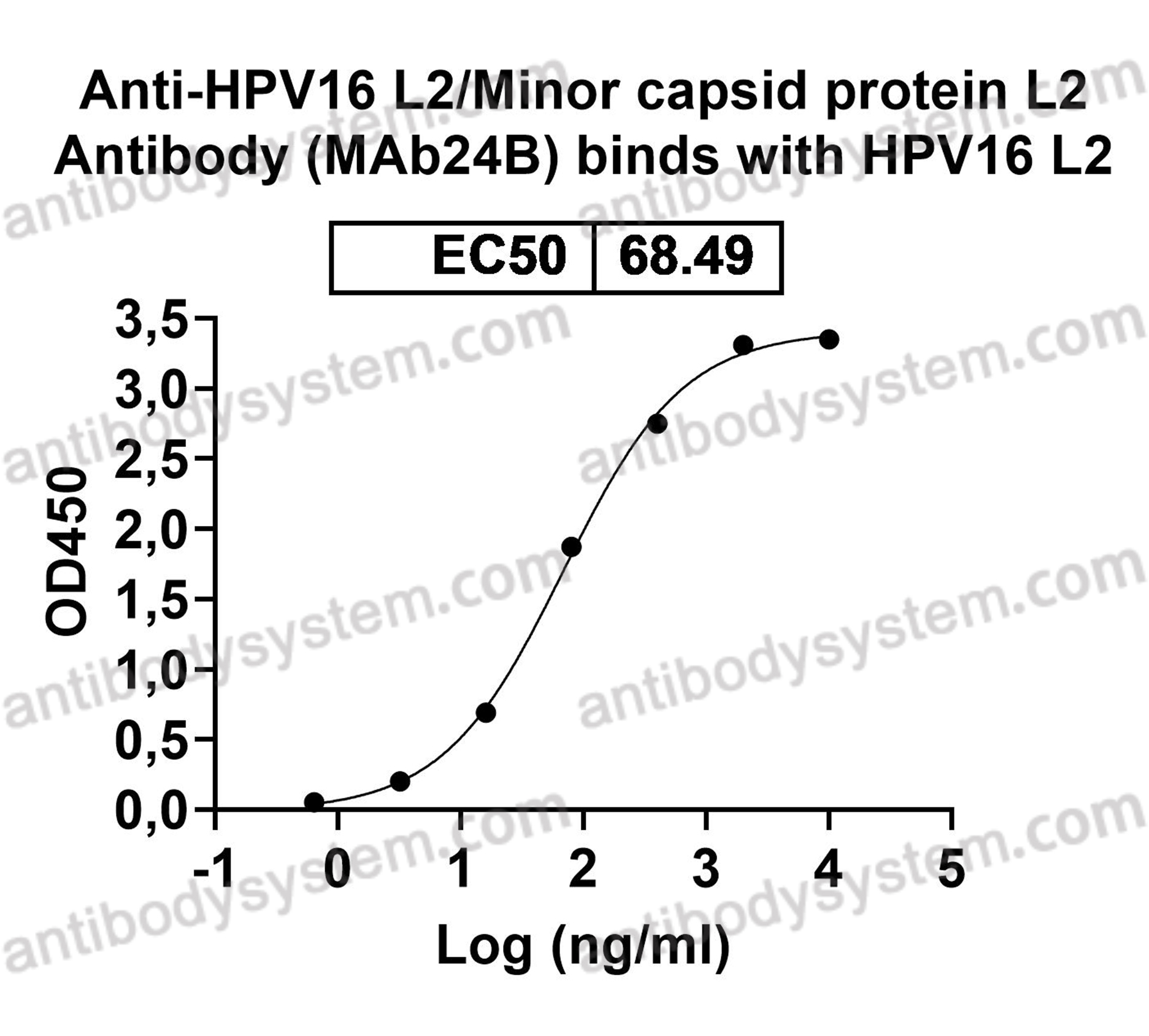 Anti-HPV16 L2/Minor capsid protein L2 Antibody (MAb24B)