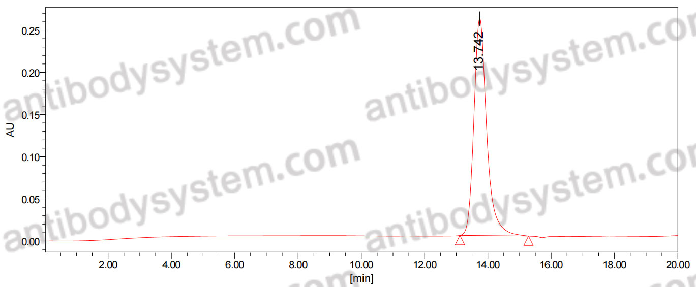 Anti-Influenza A virus Neuraminidase/NA protein Antibody (NC41)