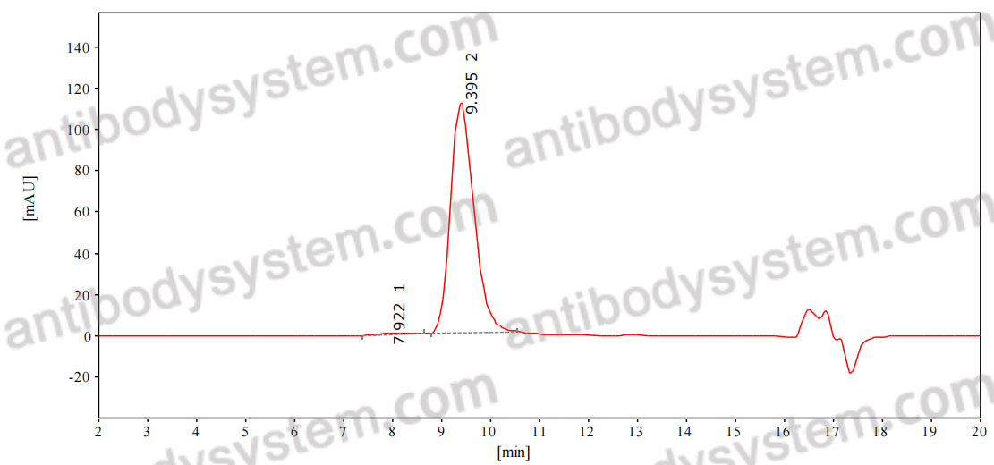 Anti-MARV GP2 Antibody (SAb2370)